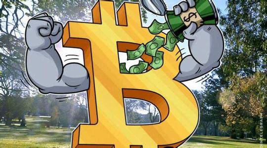 区块链钱包开发